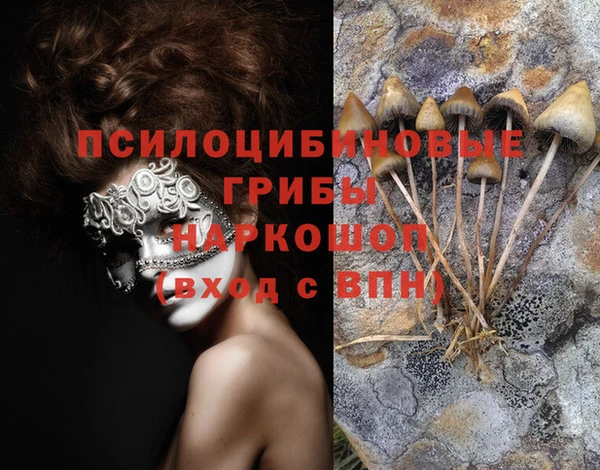 винт Медногорск