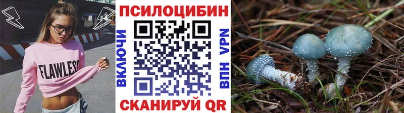 Галлюциногенные грибы Psilocybe  Купить где  Иннополис 